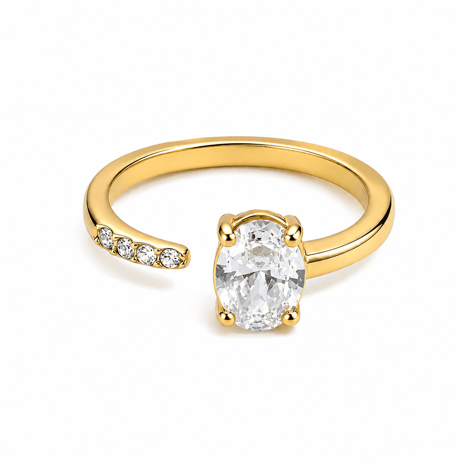 SIP PARIS RING